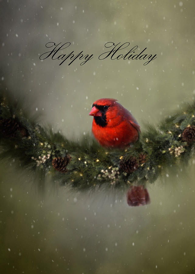 Cardinal Happy Holiday  Photograph by Ann Bridges