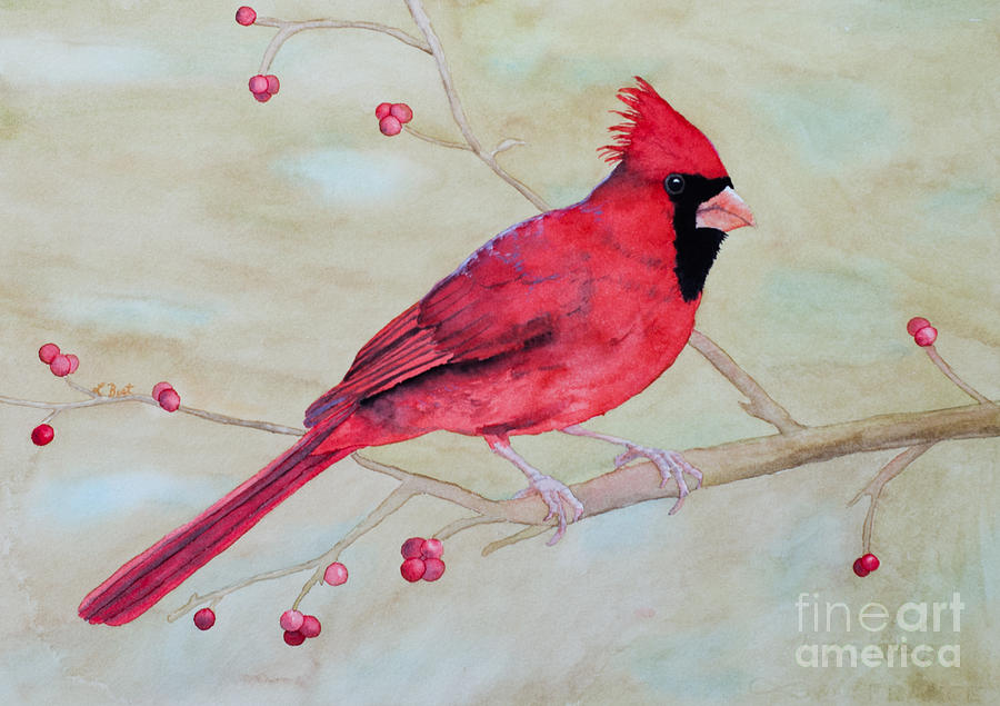 Cardinal II Painting by Laurel Best