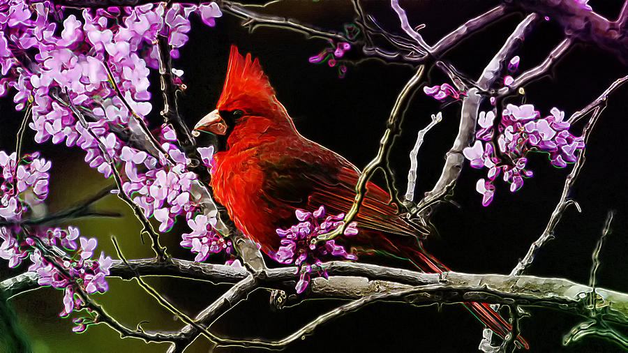 Cardinal in Bloom Photograph by Bill and Linda Tiepelman