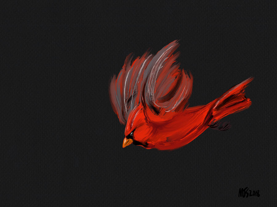 Cardinal In Flight  Digital Art by Michael Kallstrom