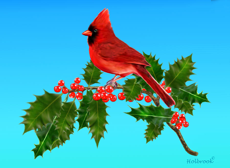 Cardinal Joy Digital Art by Glenn Holbrook