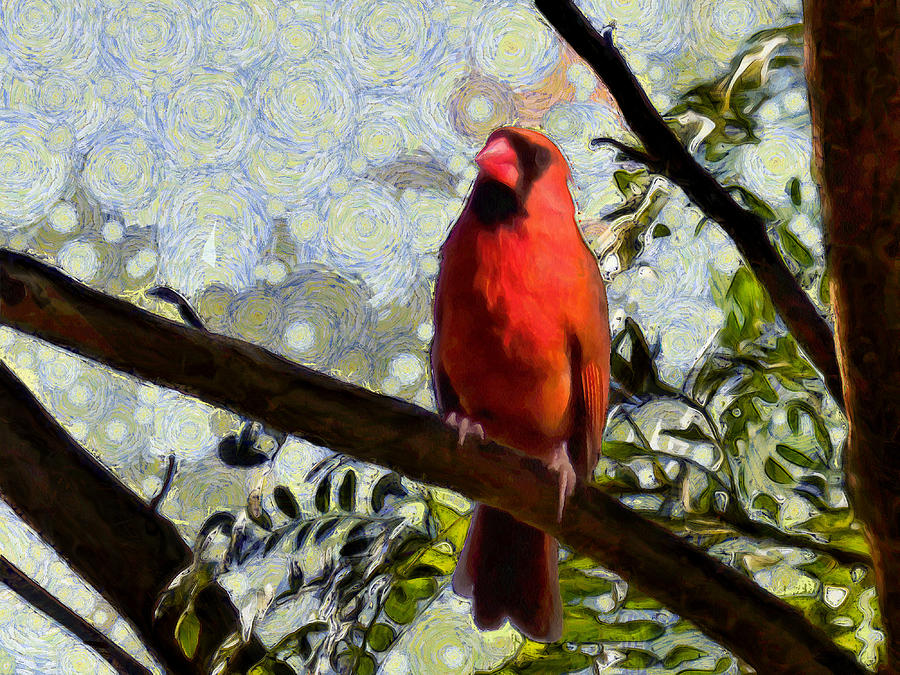 Cardinal Knowledge Photograph by Leslie Montgomery