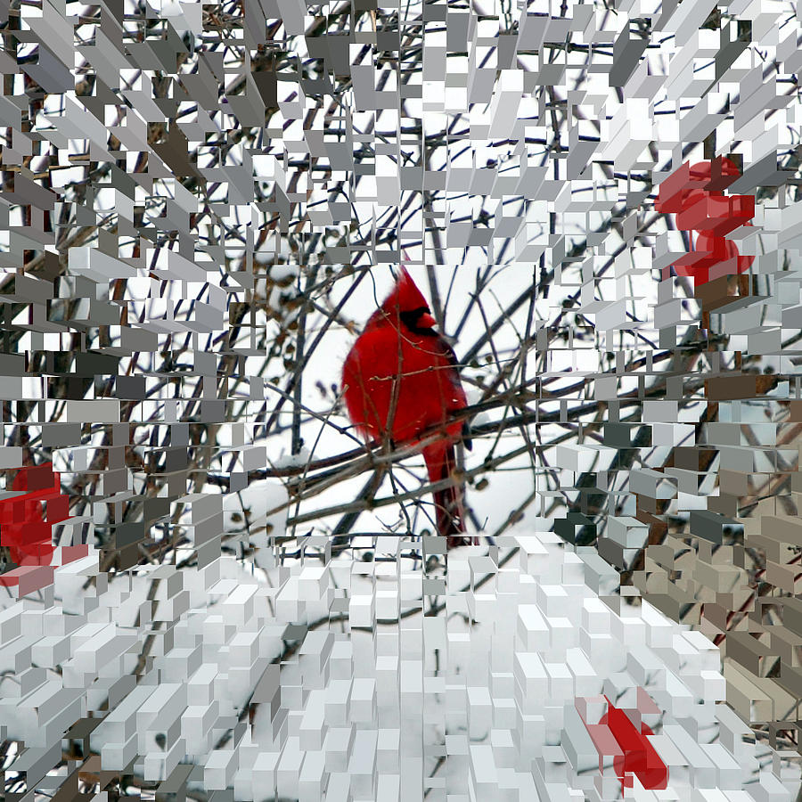 Birds Photograph - Cardinal by Lisa Kane Birds Photograph - Cardinal by Lisa Kane