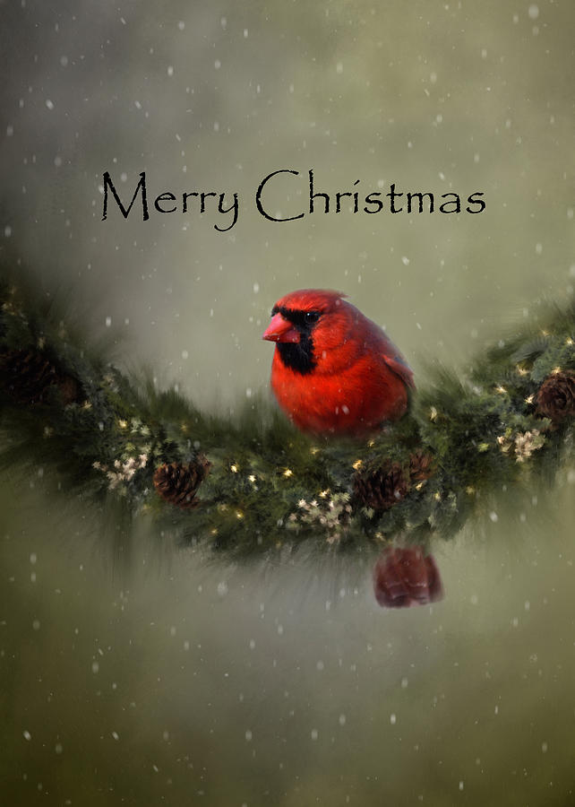 Cardinal Merry Christmas Photograph by Ann Bridges