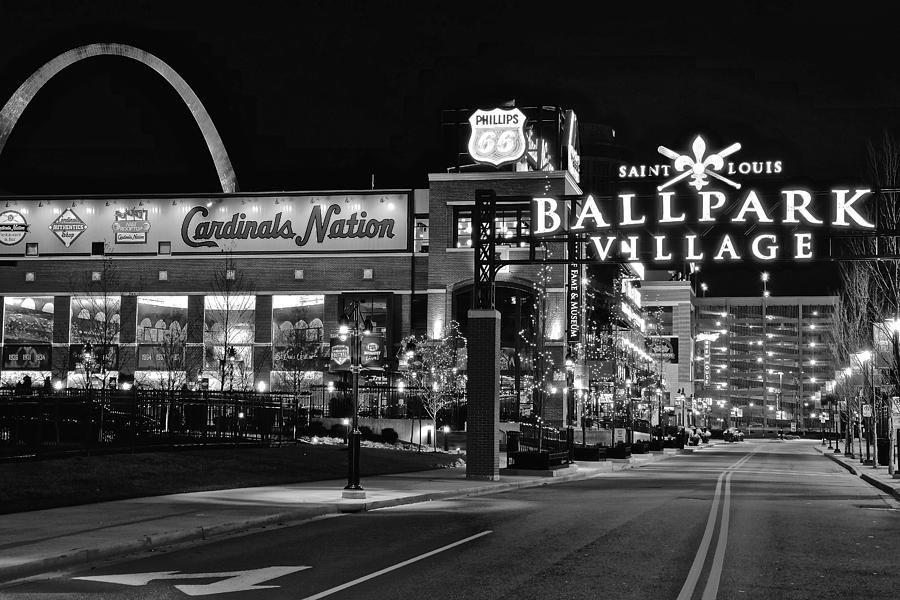 Cardinal Nation Black and White Photograph by Frozen in Time Fine Art Photography
