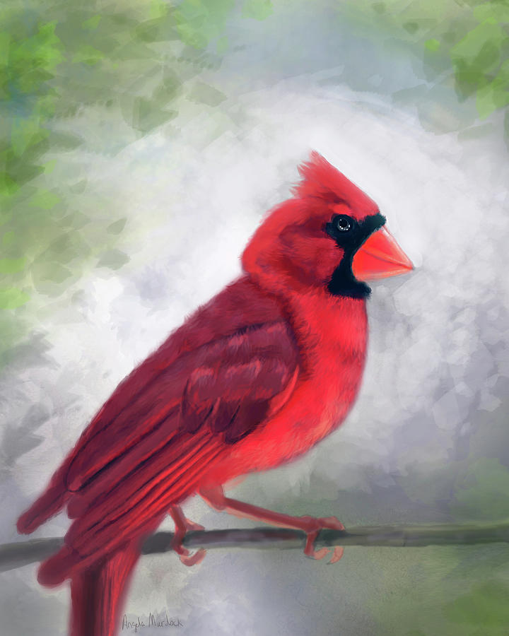 Cardinal on Branch Digital Art by Angela Murdock