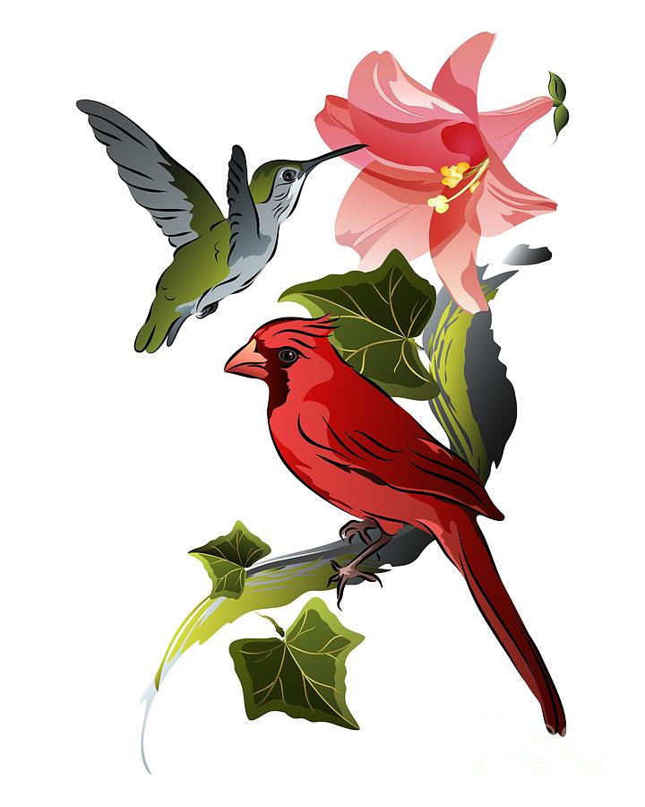 Cardinal on Ivy Branch with Hummingbird and Pink Lily Digital Art by MM Anderson