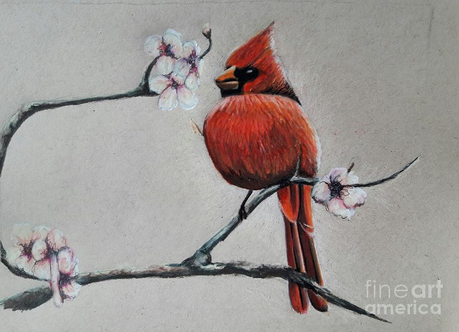 Cardinal pink flowers Drawing by Christina Little Fine Art America