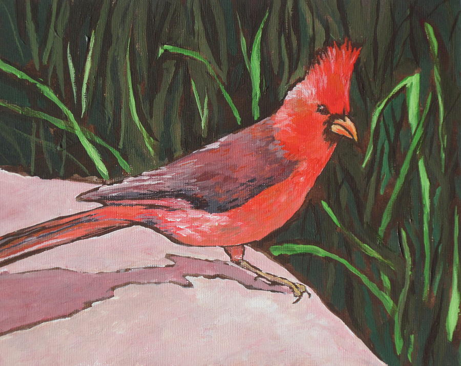 Cardinal Painting by Sandy Tracey