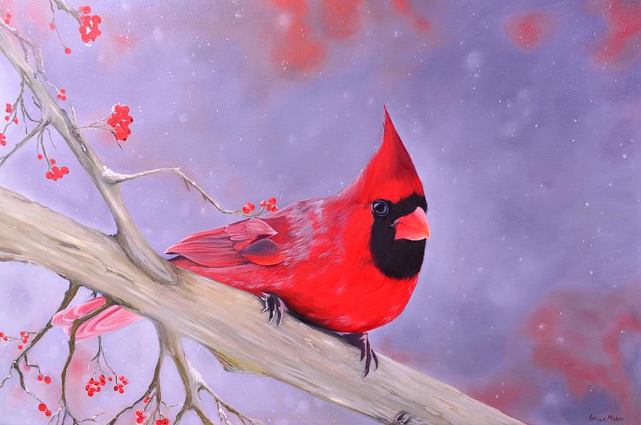 Cardinal by Stella Marin Cardinal by Stella Marin