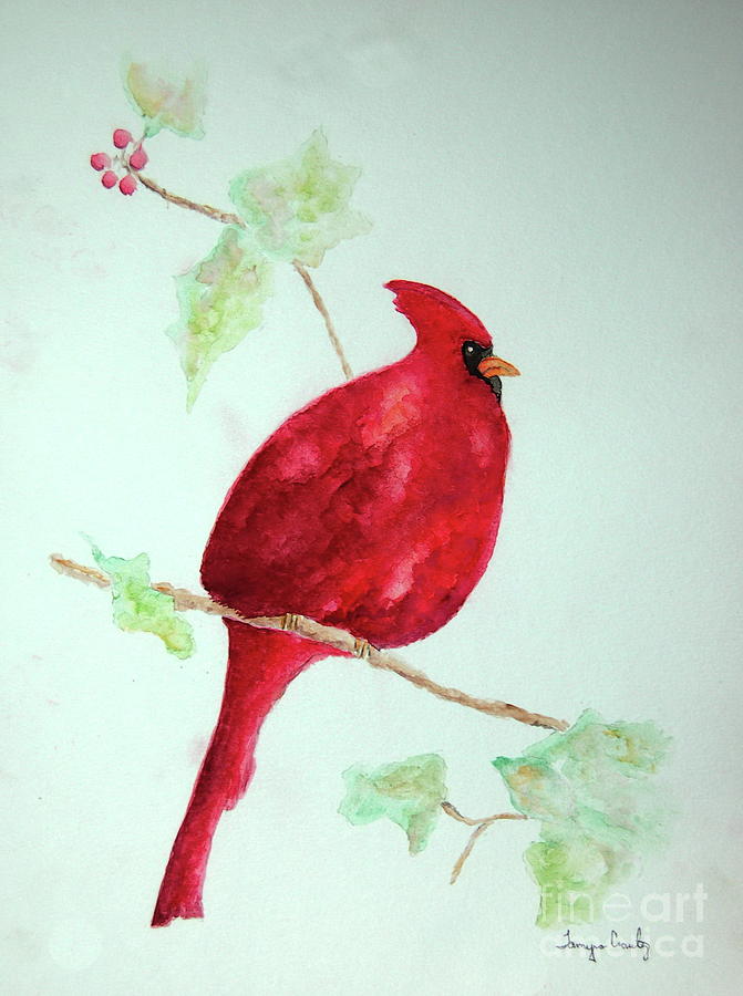 Cardinal by Tamyra Crossley Cardinal by Tamyra Crossley
