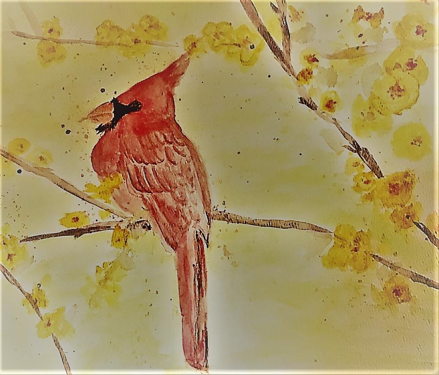 Cardinal Waiting  Painting by Stacie Siemsen