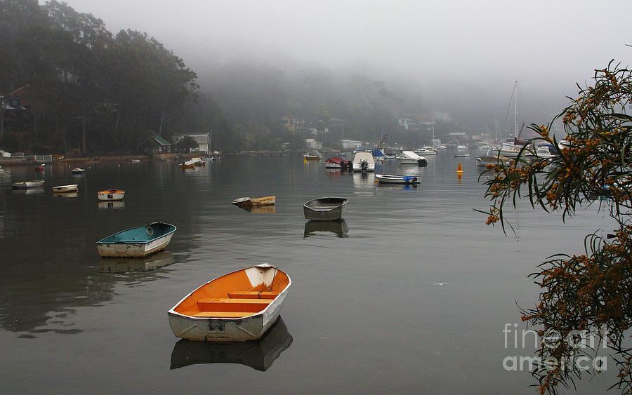 Careel Bay Mist Photograph