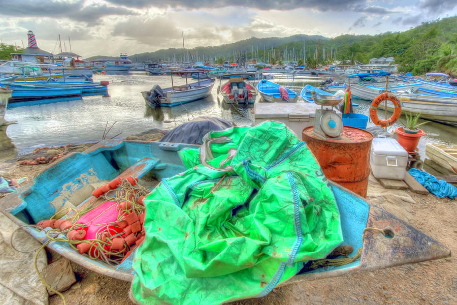 Carenage Fishing Boats Photograph by Nadia Sanowar