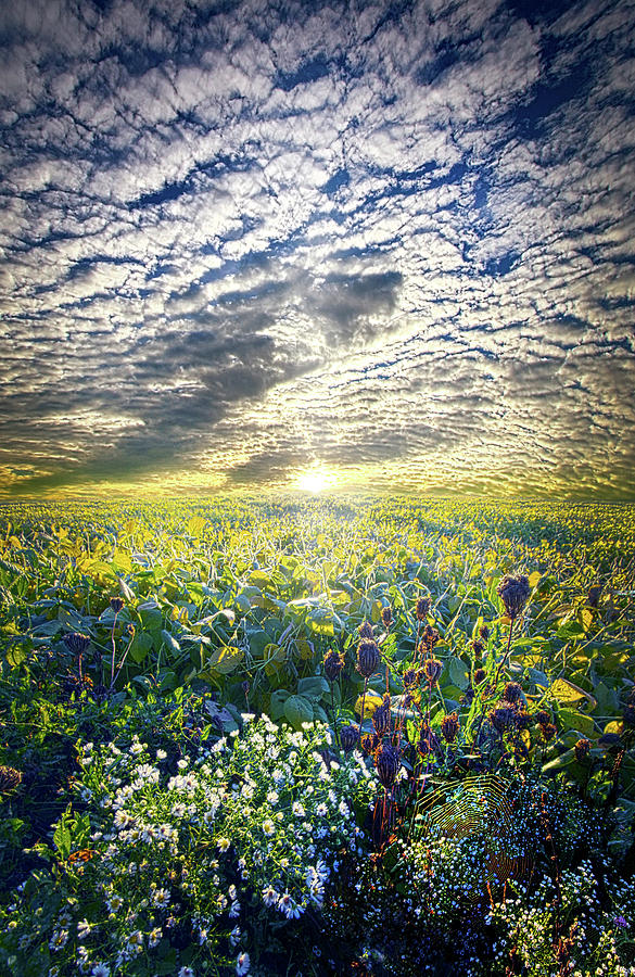 Summer Photograph - Cares Away by Phil Koch