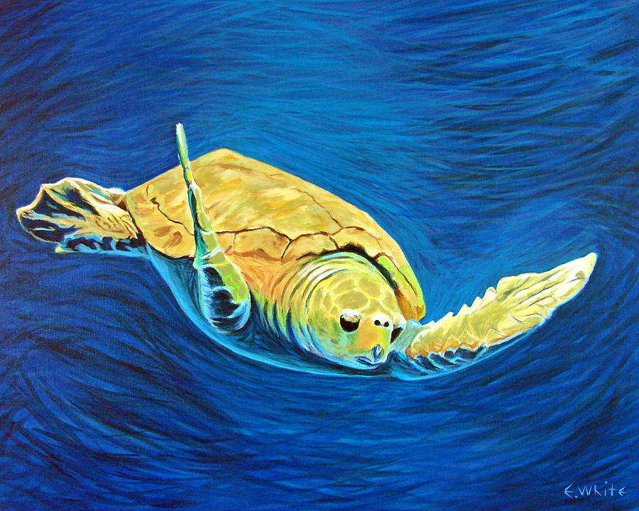 'Caretta' the loggerhead sea turtle Painting by Everett White | Fine ...