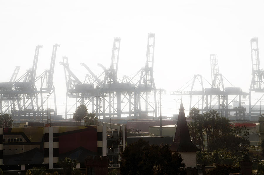 Cargo Cranes Emerged In The Fog Photograph by Thomas Woolworth