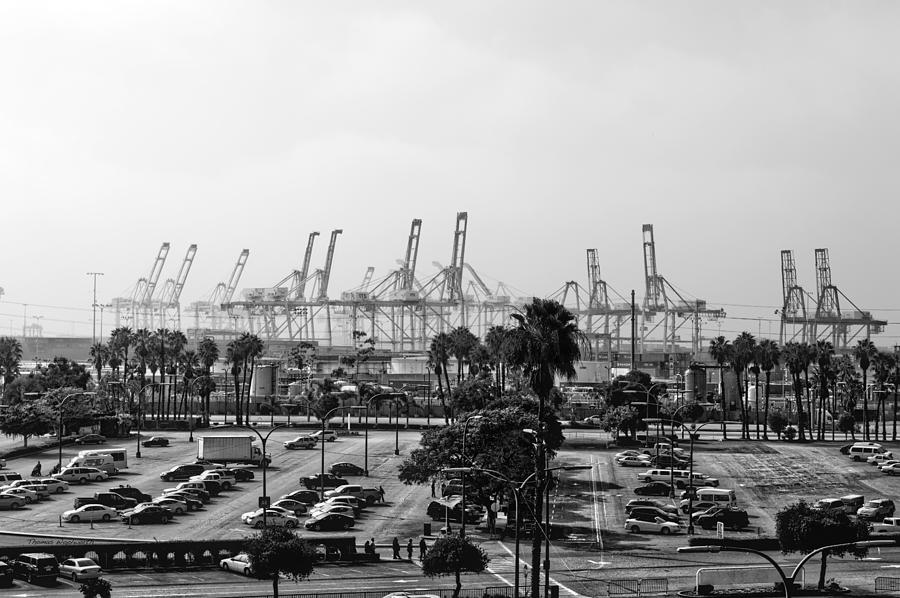Cargo Cranes Emerging From The Fog BW Photograph by Thomas Woolworth