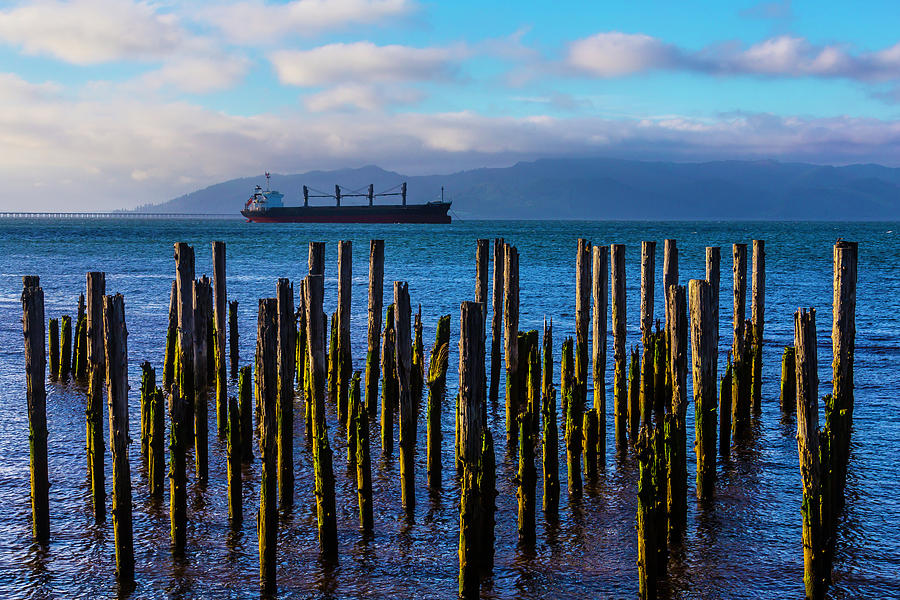 Cargo Ship And Old Pier Posts Photograph by Garry Gay