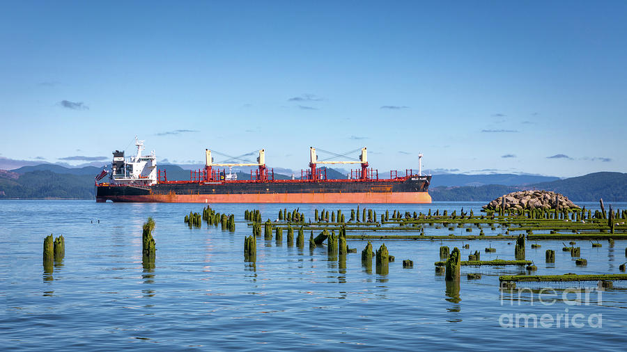 Cargo Ship Columbia River Photograph by Jerry Fornarotto