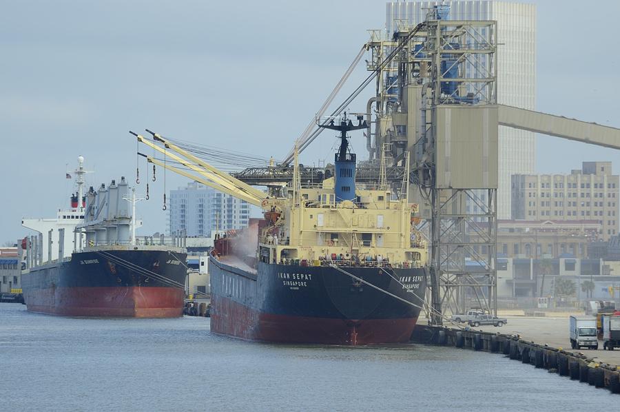 Cargo ships at Galveston Photograph by Bradford Martin