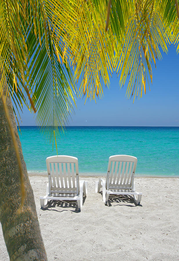 Caribbean Beach Chairs And Palm Photograph by G Victoria