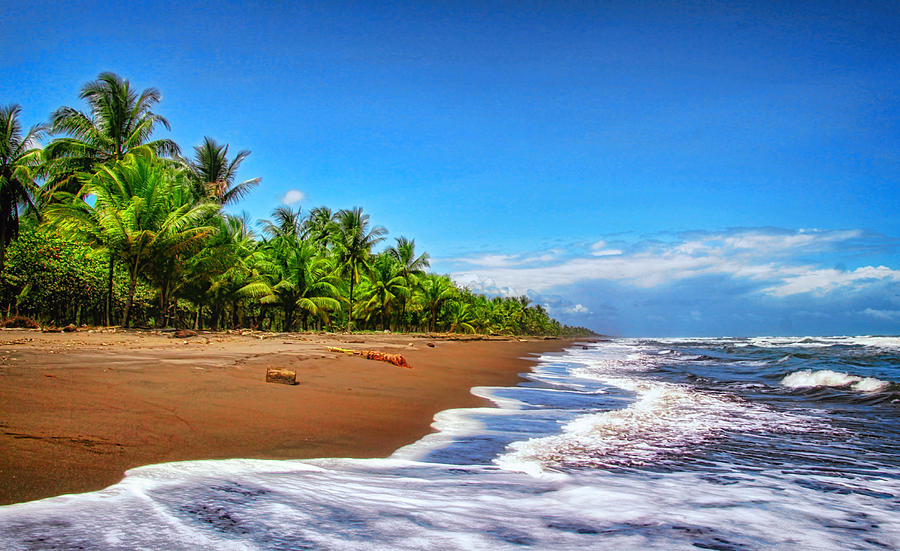 Caribbean Coast of Costa Rica Photograph by Carolyn Derstine