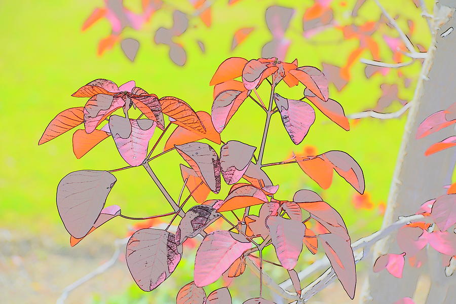 Caribbean Copper Plant Leaves Abstract II Digital Art by Linda Brody