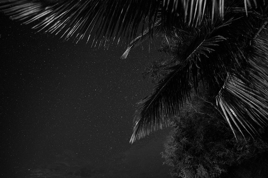 Caribbean Nights Anse Chastanet Black and White Photograph by Toby McGuire
