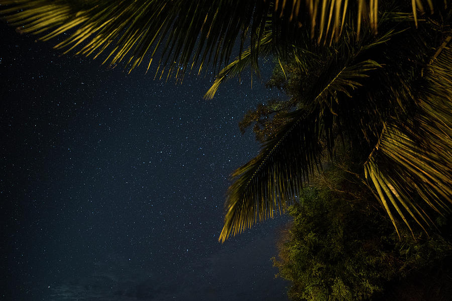 Caribbean Nights Anse Chastanet Photograph by Toby McGuire