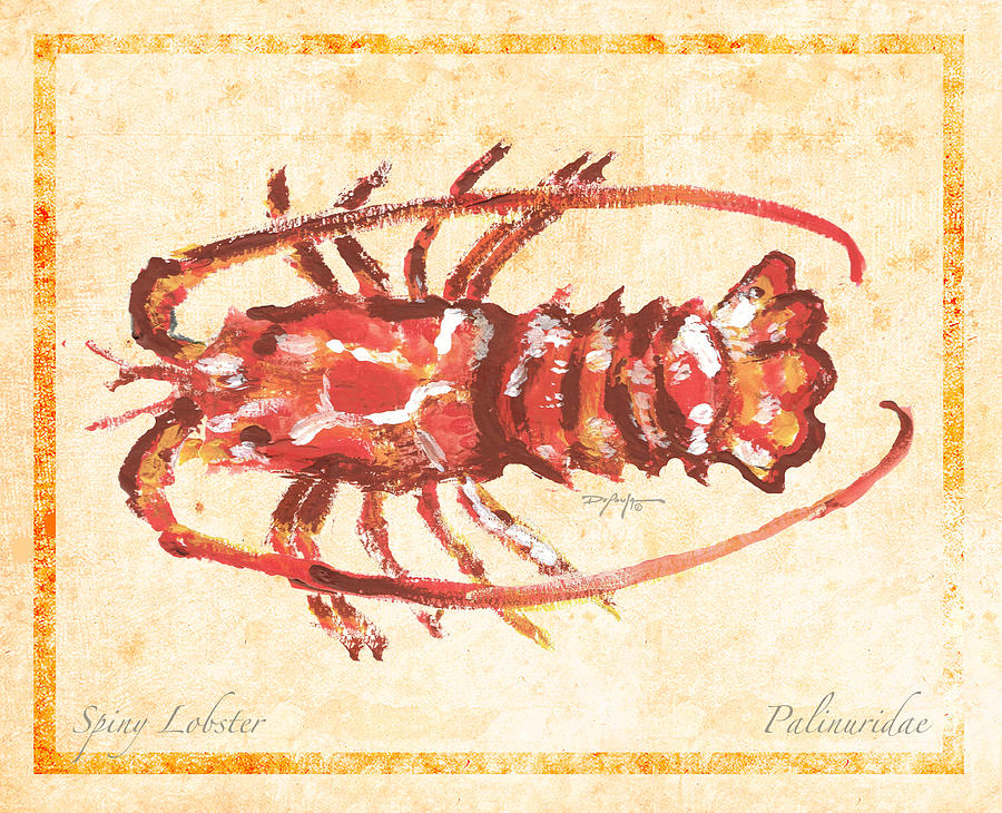 Caribbean Spiny Lobster Painting