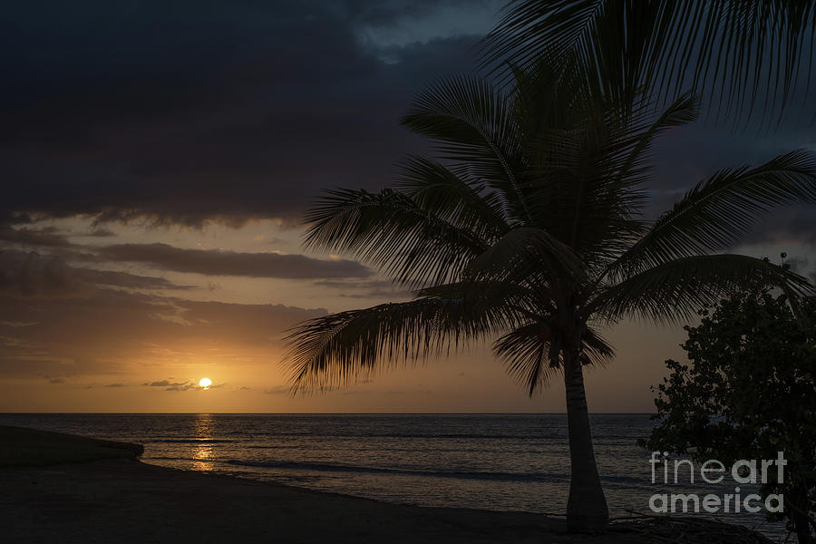 Caribbean Sundown Photograph by Carol Lloyd