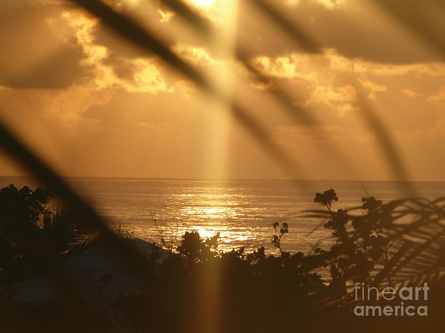 Caribbean sunrise #2 Photograph by Margaret Brooks