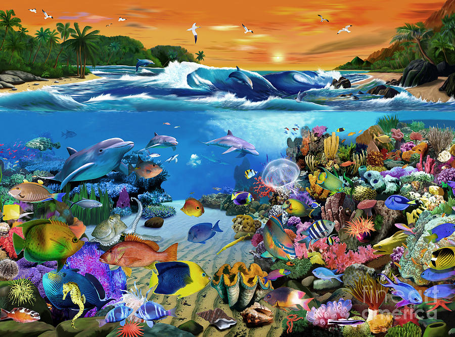Fish Digital Art - Caribbean Sunset by MGL Meiklejohn Graphics Licensing