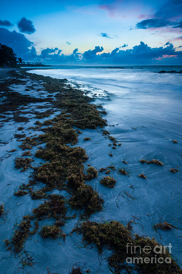 Caribbean Twilight - Beach on Saint Lucia Photograph by JG Coleman