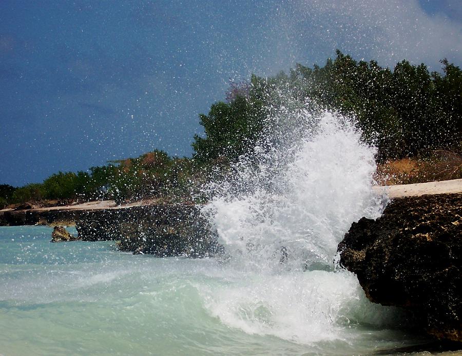Nature Photograph - Caribe Splash by James Harper