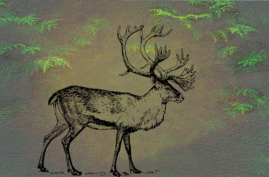 Caribou Mixed Media by Movie Poster Prints