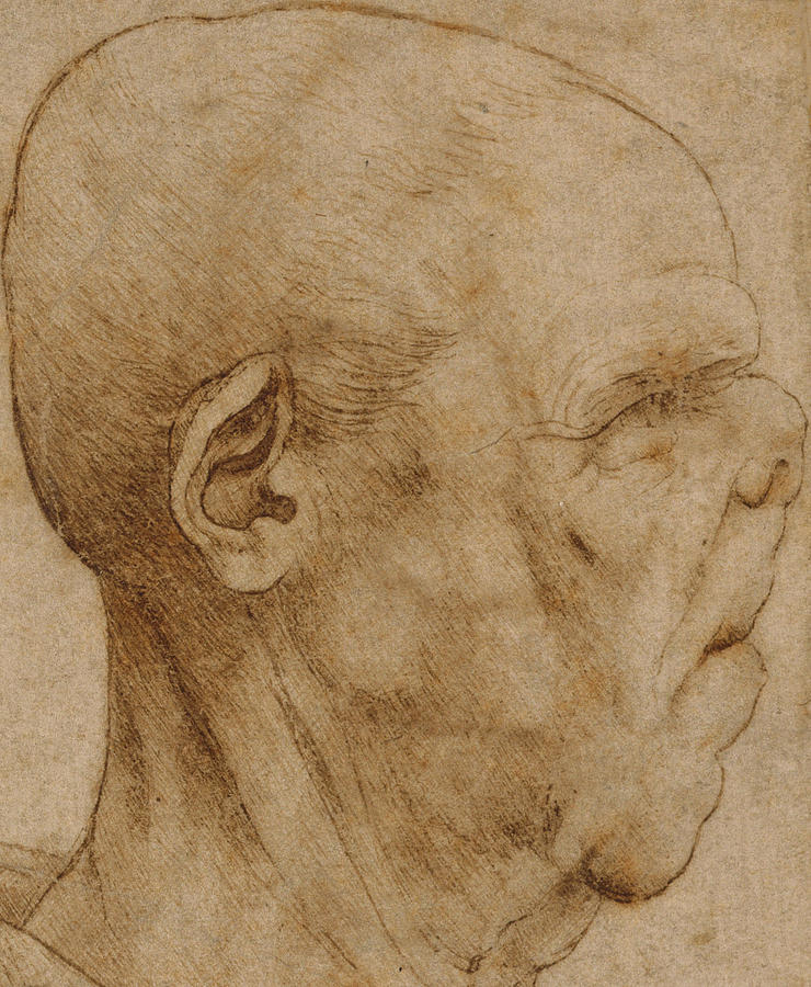Caricature of the head of an old man, in profile to the right Drawing by Leonardo Da Vinci