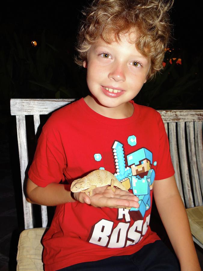 Unschooling Photograph - Caring for chameleons 1 by Exploramum Exploramum Unschooling Photograph - Caring for chameleons 1 by Exploramum Exploramum
