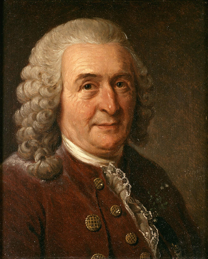 Carl von Linne Painting by Johan Gustaf Sandberg