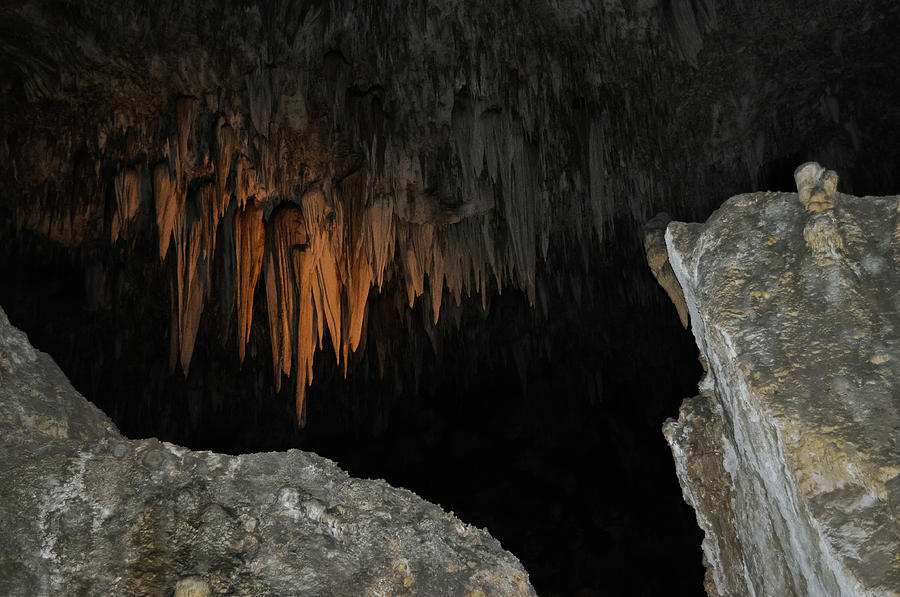Carlsbad Caverns Chandelier Formation Photograph by Kyle Hanson
