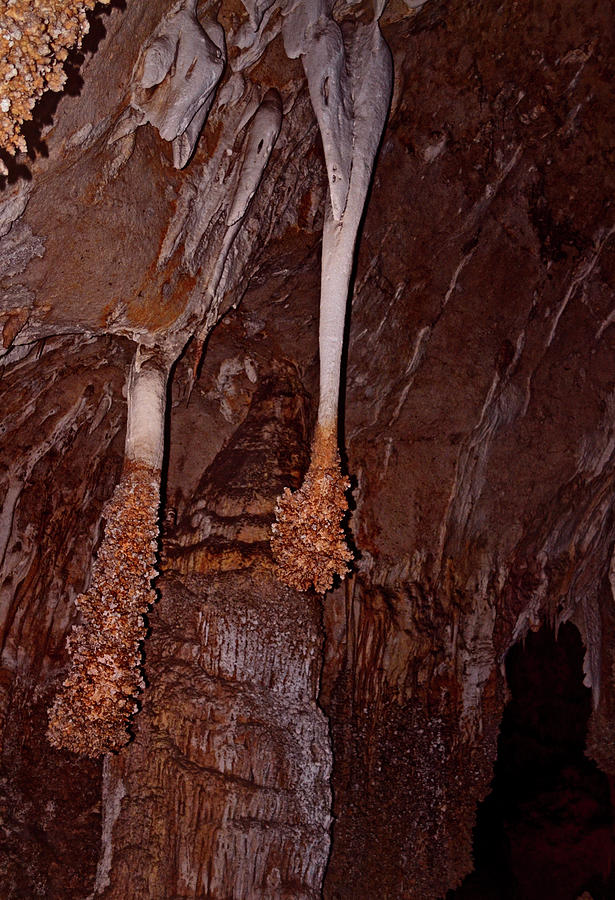 Carlsbad Caverns Horsetail Stalactite 002 Photograph by George Bostian