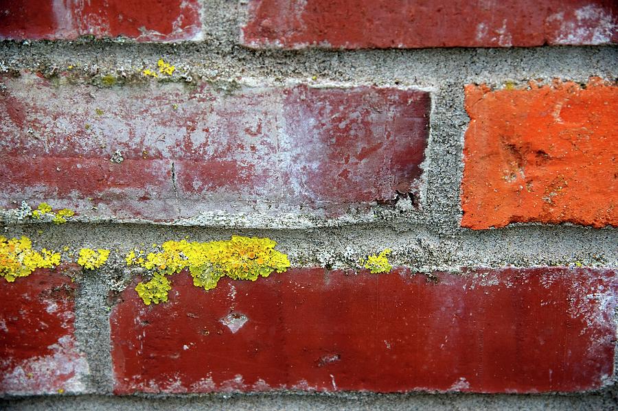 Carlton Brick Wall Photograph by Jerry Sodorff