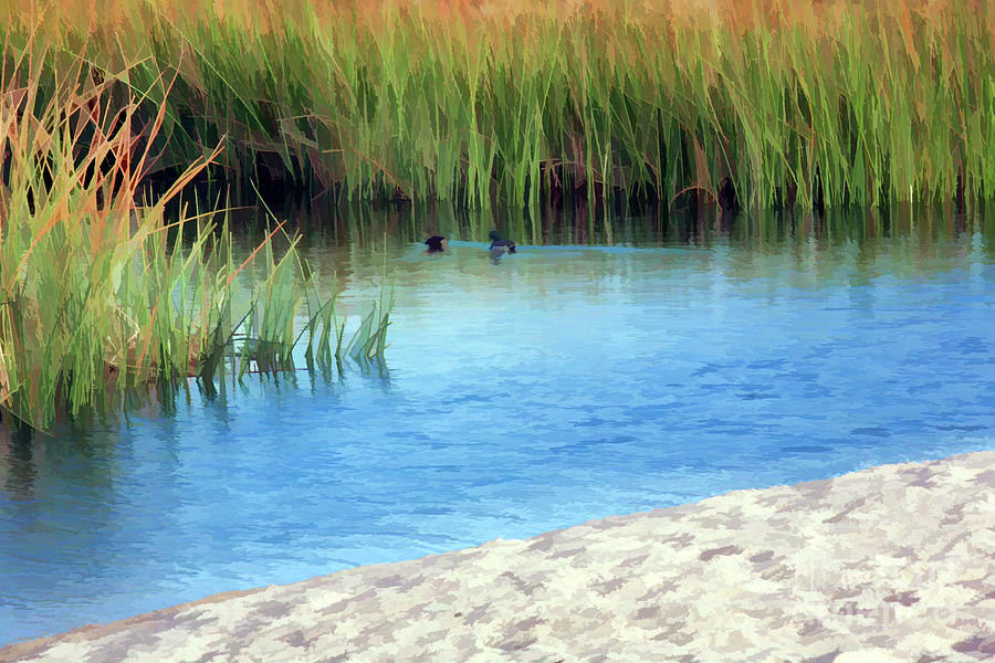 Carmel Landscape Water  Photograph by Chuck Kuhn