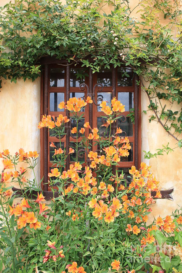 Garden Photograph - Carmel Mission Window by Carol Groenen