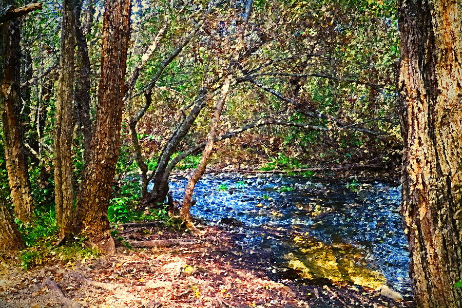 Carmel River At Garland Ranch Oil Photograph by Joyce Dickens