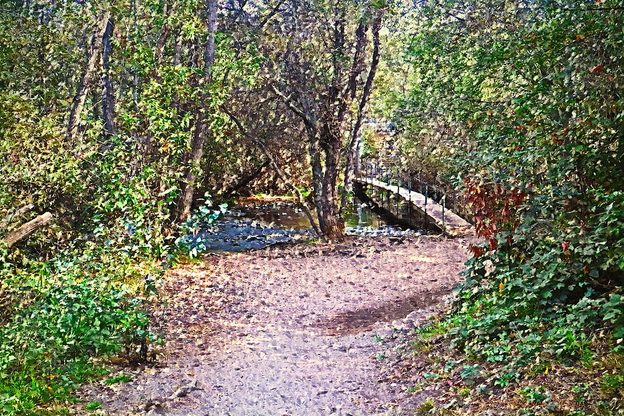 Carmel River Footbridge At Garland Ranch Oil Photograph by Joyce Dickens