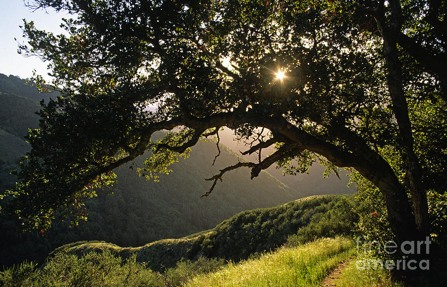 Carmel-valley-32-20 Photograph by Craig Lovell