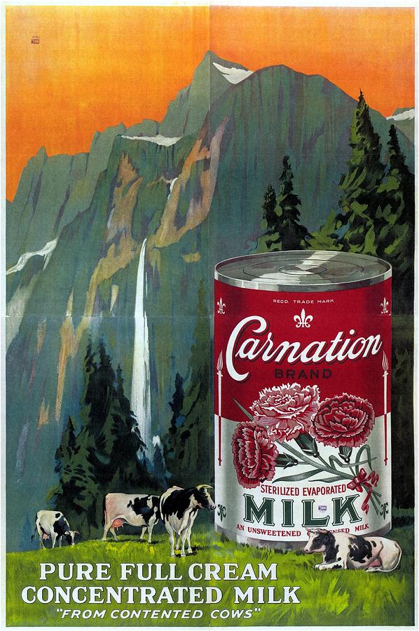 Cow Mixed Media - Carnation Brand - Cream Concentrated Milk - Vintage Advertising Poster by Studio Grafiikka