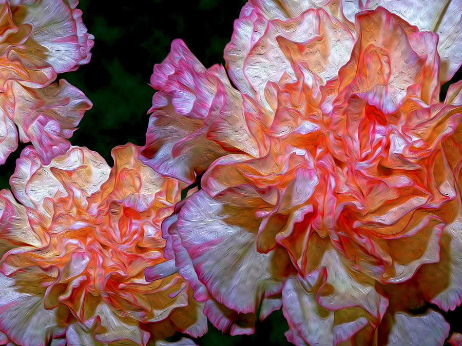 Spring Photograph - Carnation, Dianthus Fantasy by Lynda Lehmann